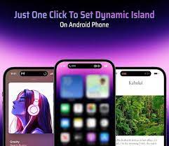 dynamic-bird-app-apk