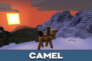 Camel Craft APK
