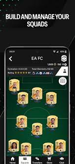 FIFA 24 Web Apk